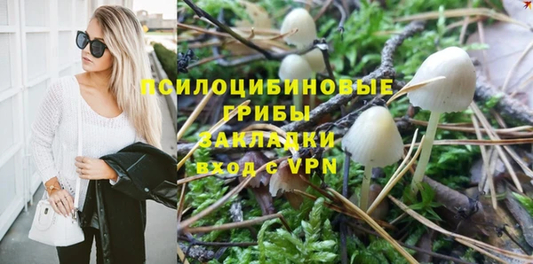 стаф Алексин