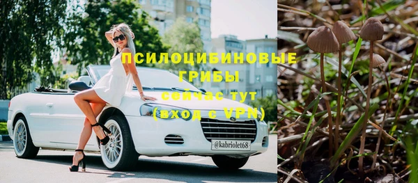 стаф Алексин