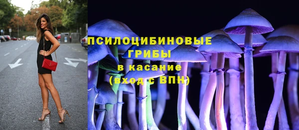 Альфа ПВП Алзамай
