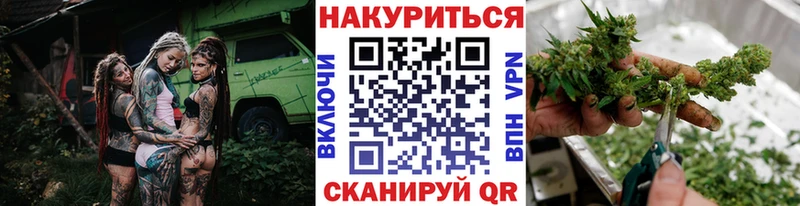 Бошки марихуана план  omg сайт  Пласт 